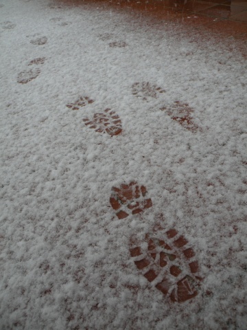Passi di uno Scout sulla neve