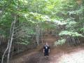 Ricomincia il bosco! Evvai!