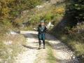 Shami punto di riferimento