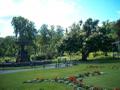 Public Gardens 2