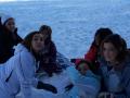 Picchi