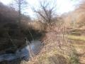 Camminavo vicino alle rive del fiume, nella brezza fresca degli ultimi giorni d'inverno e nell'aria...